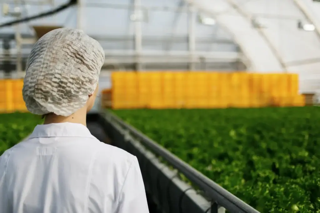 création d'entreprise Occitanie