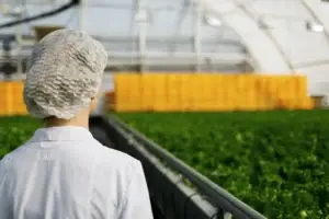 création d'entreprise Occitanie