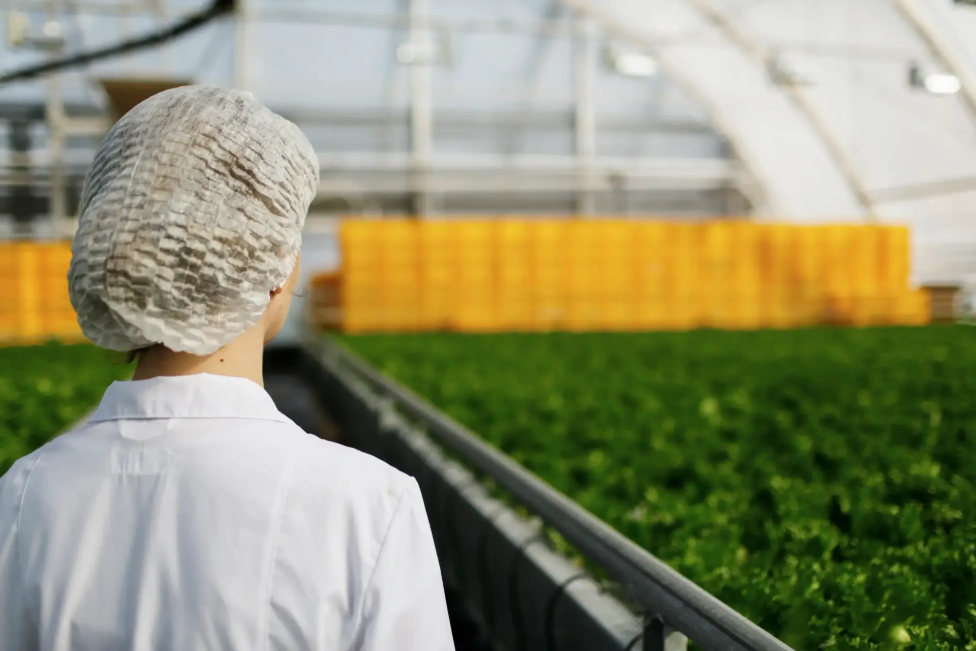 création d'entreprise Occitanie